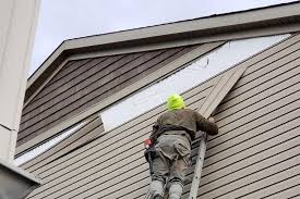 Best Siding Painting and Refinishing  in Northfield, MN